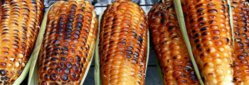 Nutrición Humana