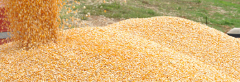 Trabajamos para producir los mejores alimentos