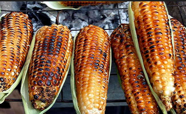 Nutrición Humana