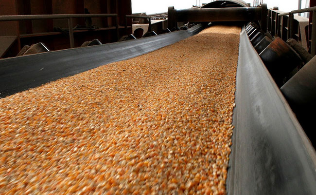 Cereales del corazón de Brasil para todo el planeta