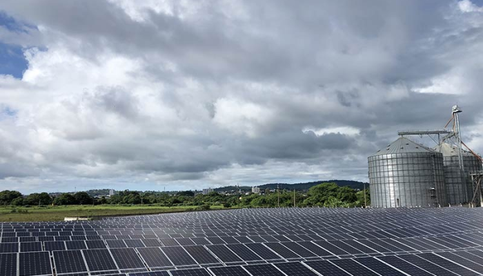 Energía limpia y sostenible